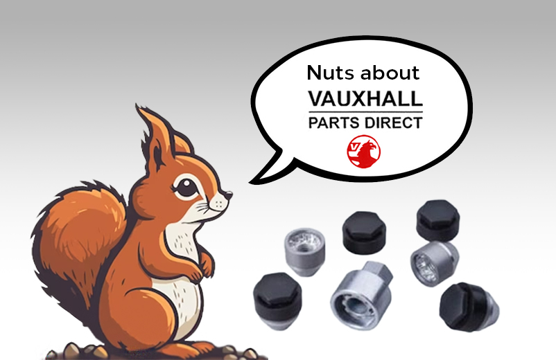 Vauxhall Astra 20152021 Locking Wheel Bolts 13331034